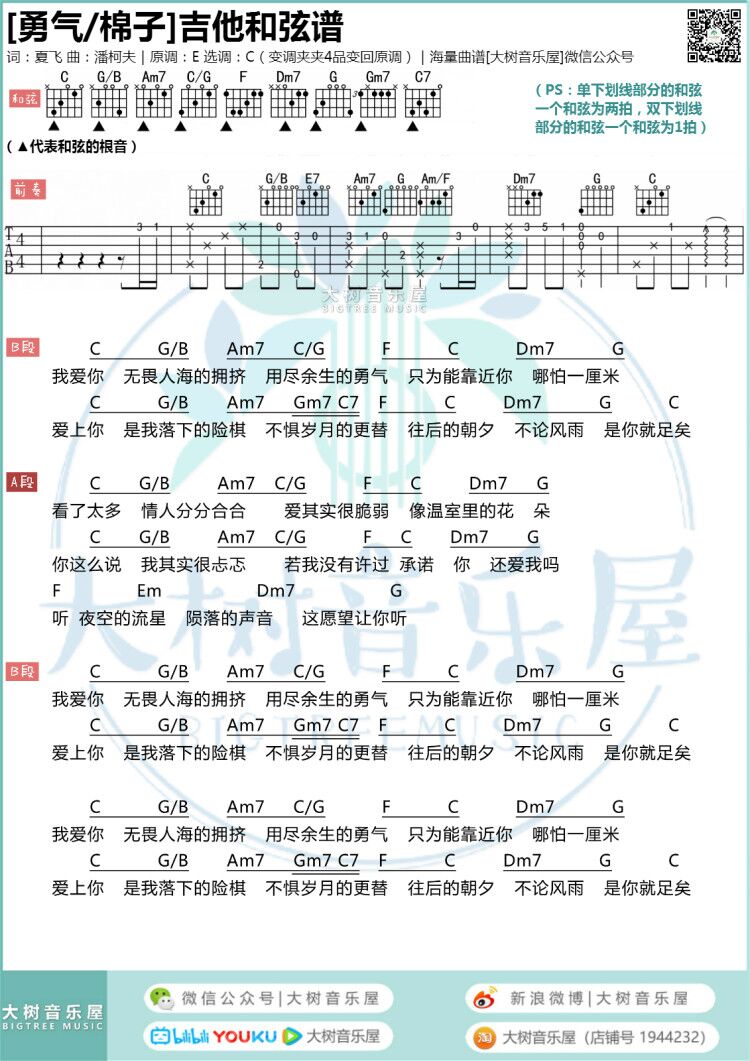 《勇气吉他谱》_梁静茹_吉他图片谱1张 图1