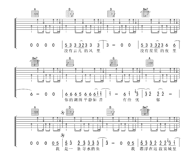 《寻水的鱼吉他谱》_许飞_E调_吉他图片谱5张 图3