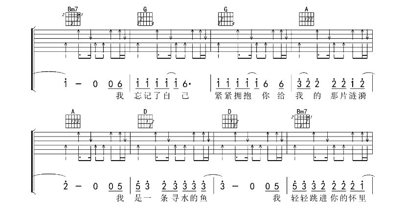 《寻水的鱼吉他谱》_许飞_E调_吉他图片谱5张 图4