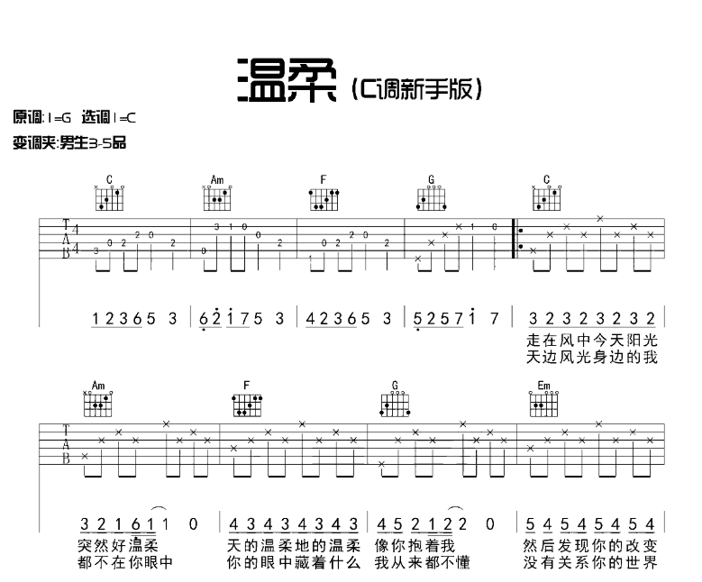 《温柔吉他谱》_蔡琴_吉他图片谱5张 图1