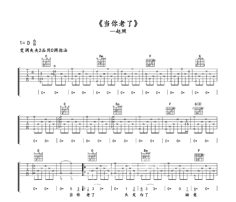 《当你老了吉他谱》_赵照_D调_吉他图片谱6张 图1