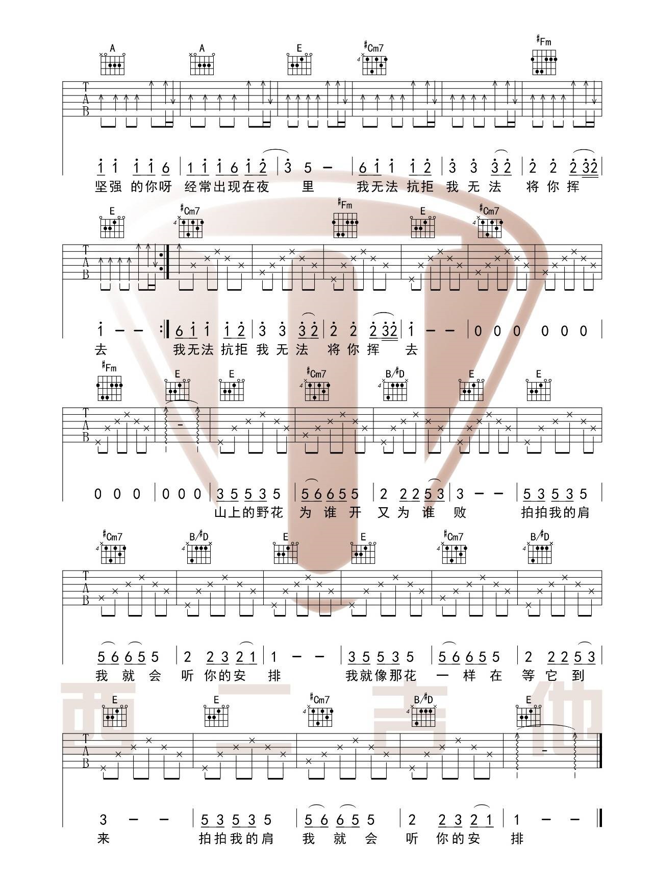 《野花吉他谱》_梦然_康树龙/旦增尼玛_图片谱标准版_吉他图片谱3张 图3