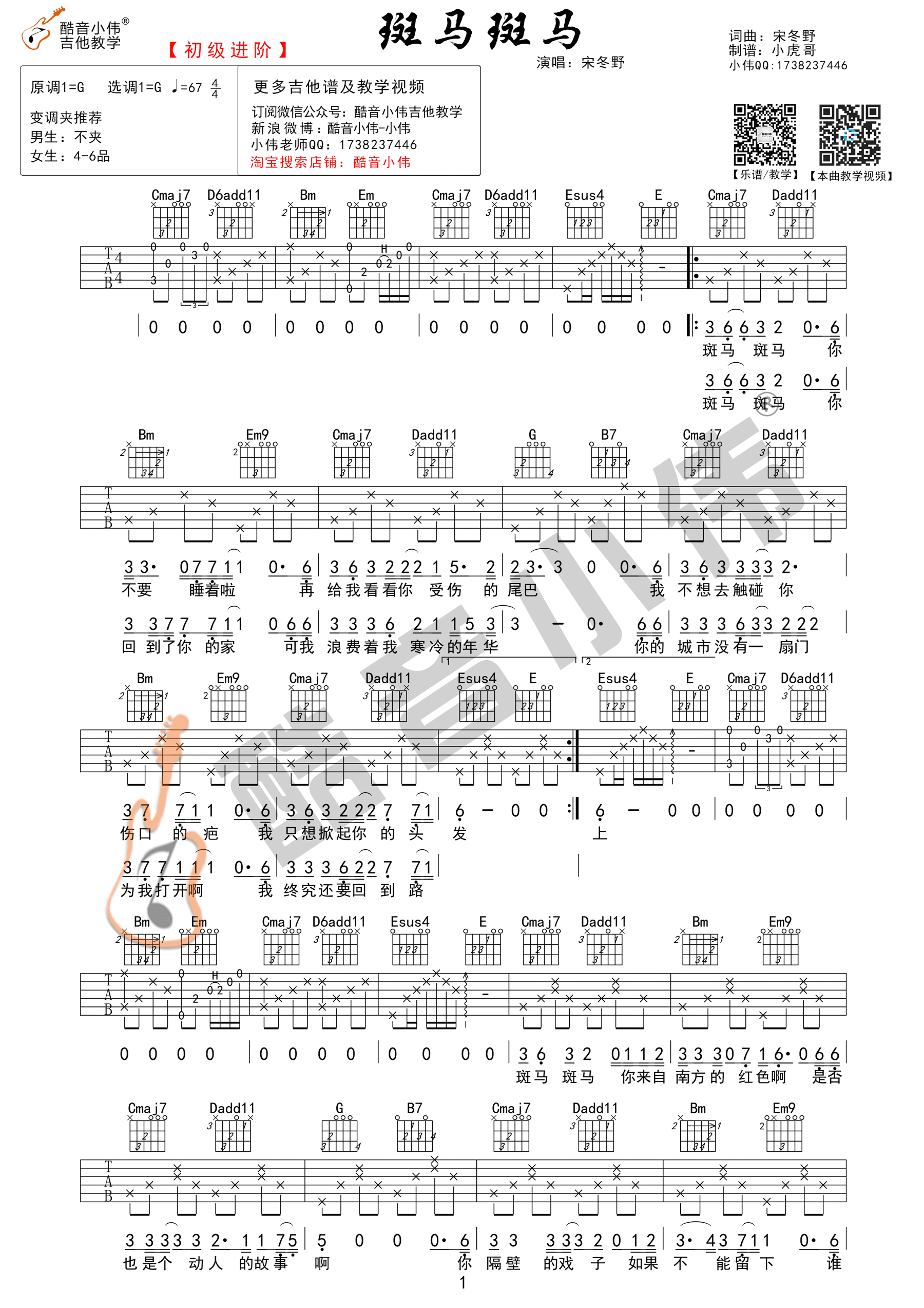 《斑马斑马 宋冬野 G调初级进阶版（酷音小伟吉他）吉他谱》_群星_G调_吉他图片谱1张 图1